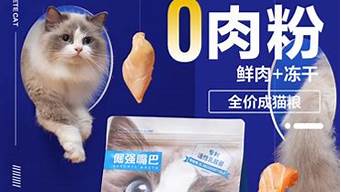 热门宠物食品推荐：如何选择适合的猫狗粮？(猫咪狗粮排行)